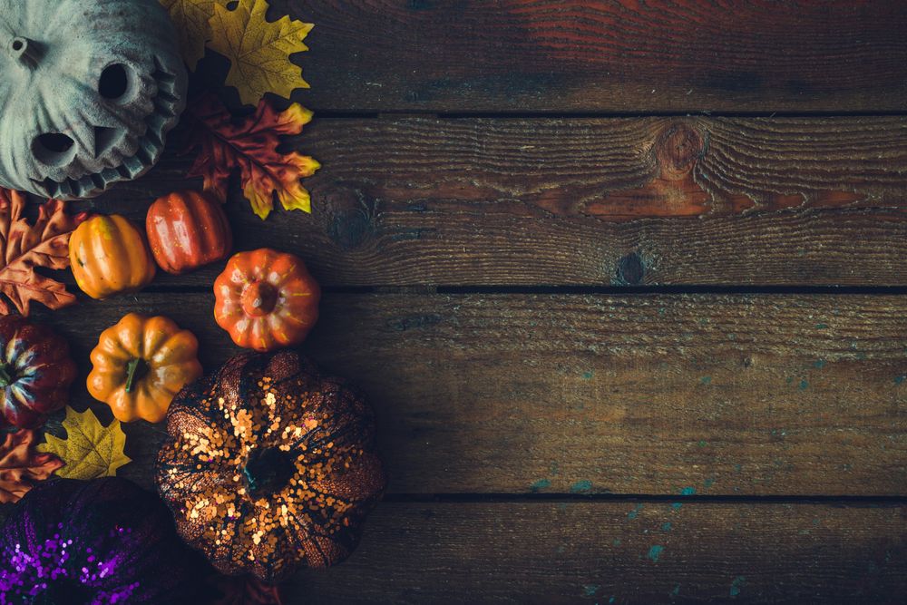 Creative autumn Halloween layout with various leaves and pumpkins