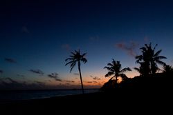 Silhouettes of palms against sunset sky on beach
