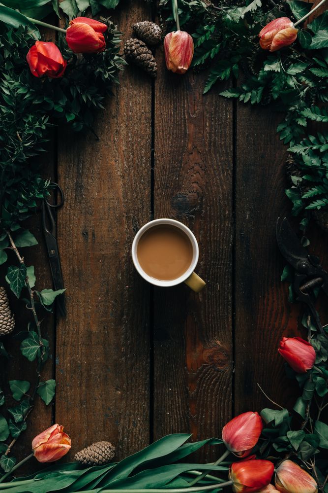 Border of tulips on wooden background with coffee