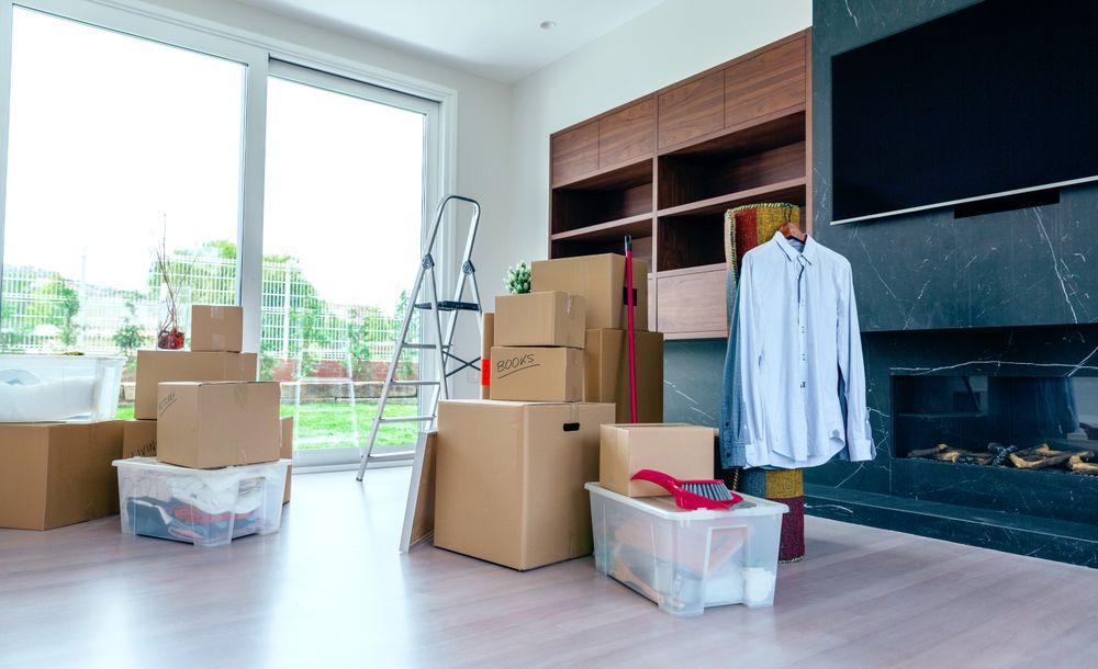 Living room with moving boxes