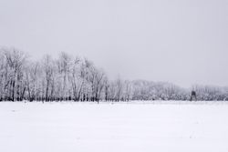 Hunting blind and snow in Aitkin County, Minnesota