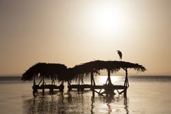 Laundry in sea at sunset