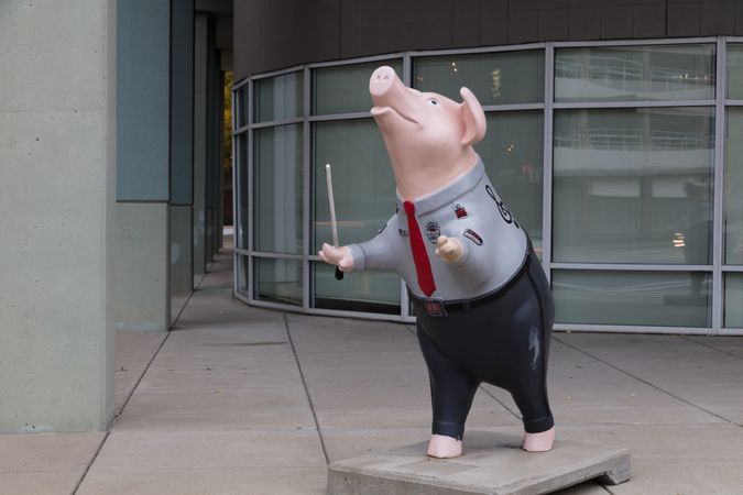 Pig in uniform, conducting, Cincinnati, Ohio