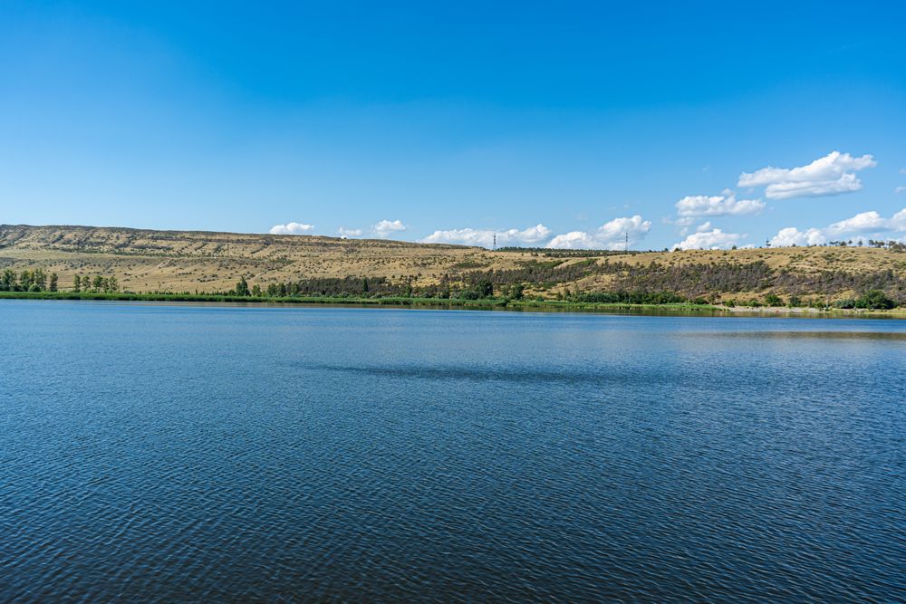 Lake landscape in summer
