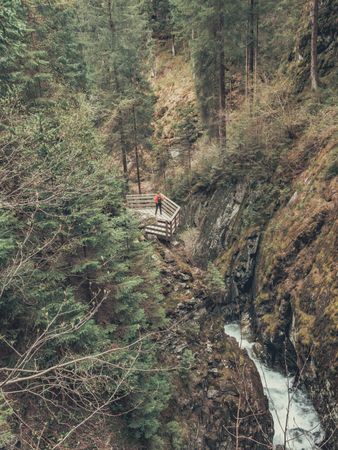 Traveller admiring picturesque view of mountain stream