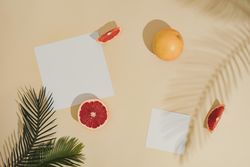 Minimal sunlit fruit and leaves composition with sand color background and sharp shadows