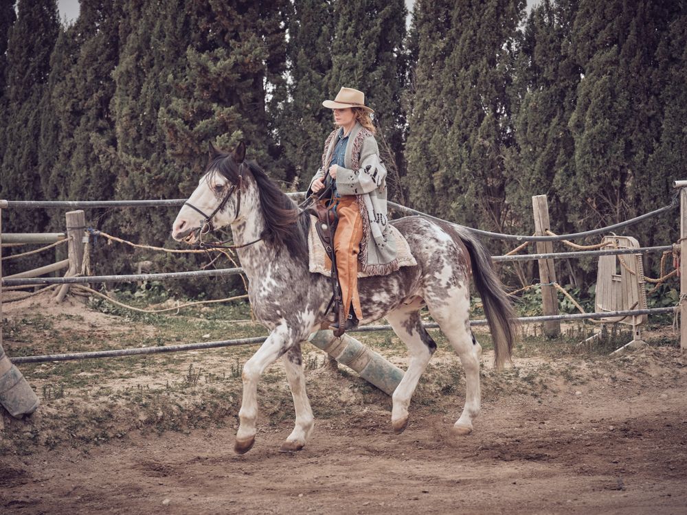 Adult woman riding horse on paddock near the forest