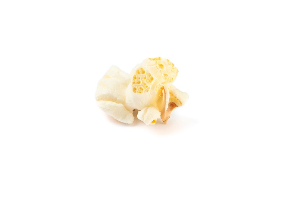 Piece of popcorn isolated on blank background, close up