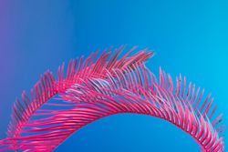 Palm leaves lit in bright pink on a blue background