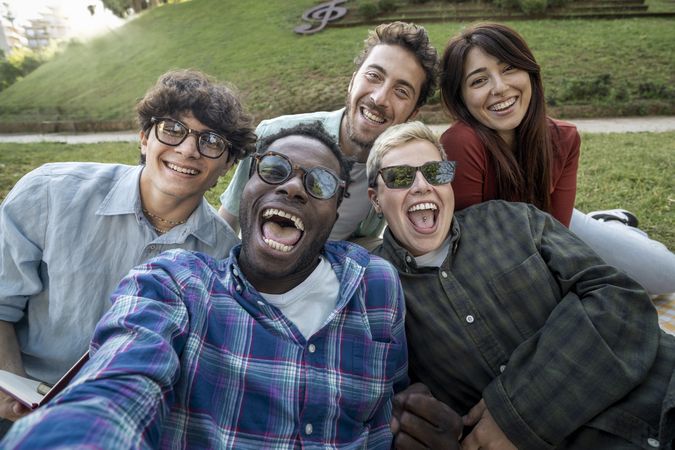 Happy diverse friends taking joyful selfie on summer day trip in the park