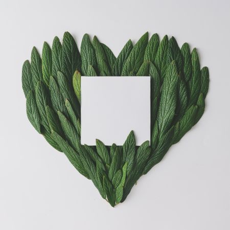 Heart made of green leaves with paper card