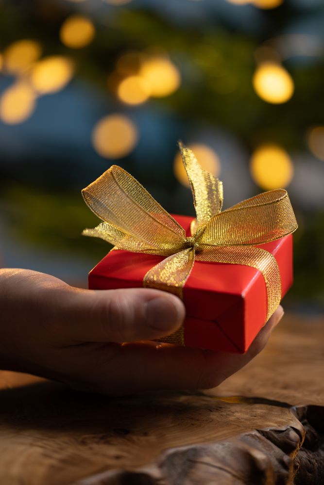 Man holding Christmas gift by tree