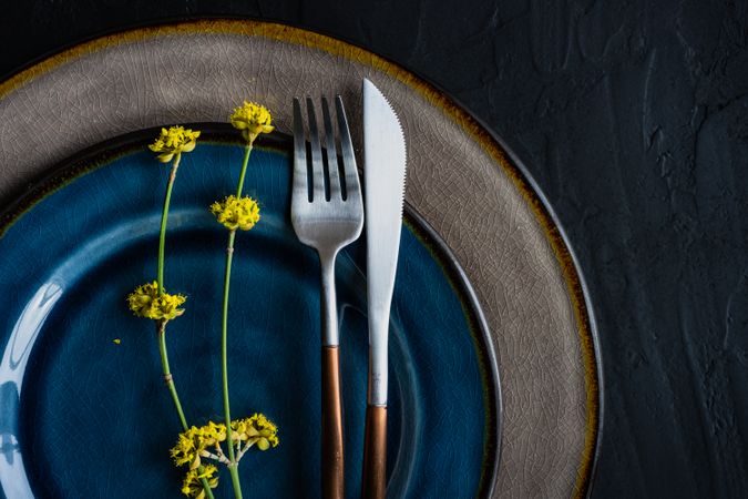 Rustic table setting with navy plate and decorative branch