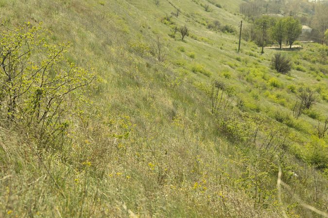 Grassy slopes. Amazing sunny spring day. Photo outdoor