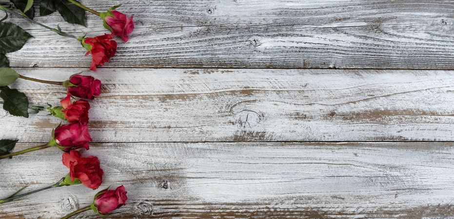 Semi-circle of real red flowers on rustic wooden planks