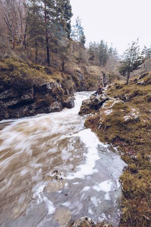 Woman gazing at fast mountain river in forest