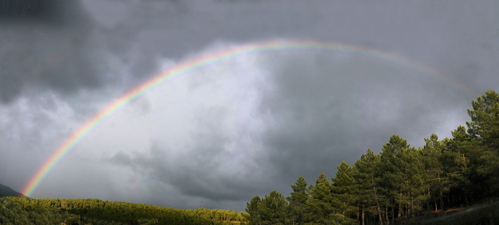 Rainbow on cloudy sky near forest