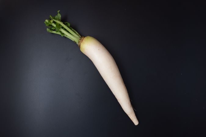 Fresh radish (lobak) with smooth skin and crisp texture