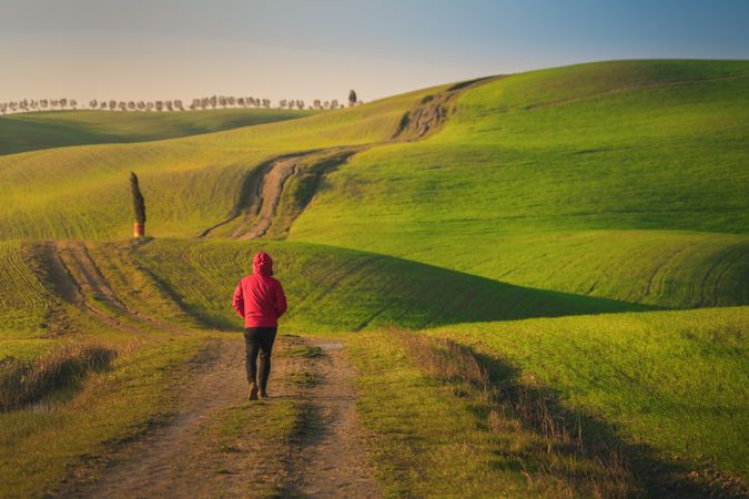 Traveling man walking on green rural road