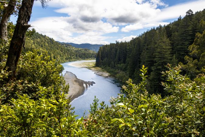 Beautiful river surrounded by tall mountainous trees