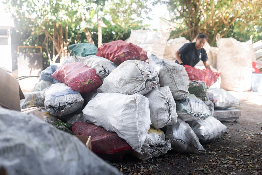 A Young Hispanic Woman Stacking Glass Bottle Sacks by Big Recycled Heap. Concept of Building Sustainability