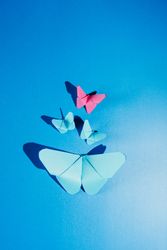 Paper butterflies on silk cloth
