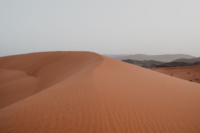 Sandy dune in arid desert