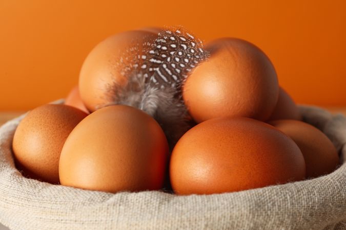 Concept of fresh and natural farm product - eggs