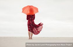 Rear view of a woman in red dress holding umbrella standing on the beach 5oBa10