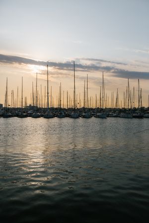 Slender rows of yachts with masts up at sunset in water