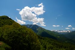 Forested hills and distant snow-capped mountains