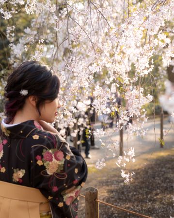 Woman in floral kimono standing under cherry blossom tree looking away