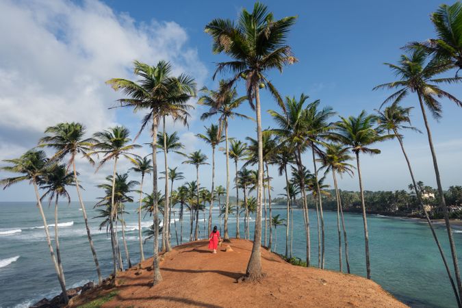 Tranquil female traveler among palms at seashore