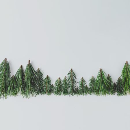 Evergreen pine forest treeline made of tree branches