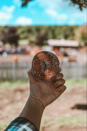 Cropped image of person holding round donut outdoor