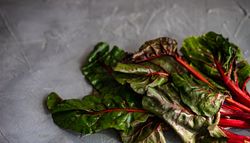 Organic food concept of fresh spinach leaves on grey counter
