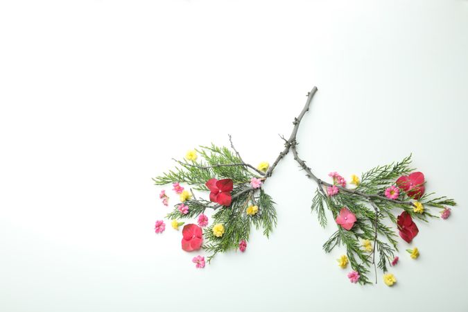 Lung concept made of branches and flowers with copy space
