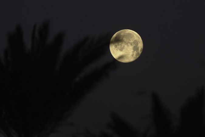 Full moon in Tucson, Arizona
