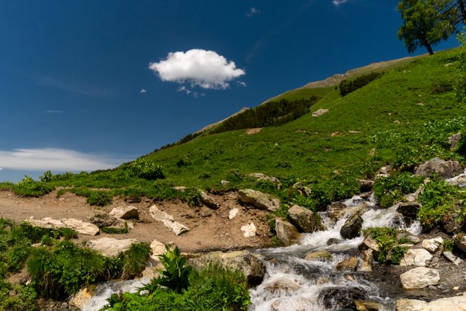 Small stream cascading over rocks on green hillside