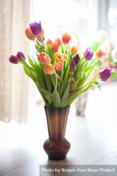 Colorful tulips in glass vase 42zV74