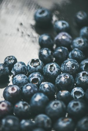 Freshly washed batch of blueberries on grey background, vertical composition