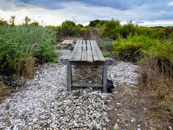 Oyster tasting table beside the path to Ars