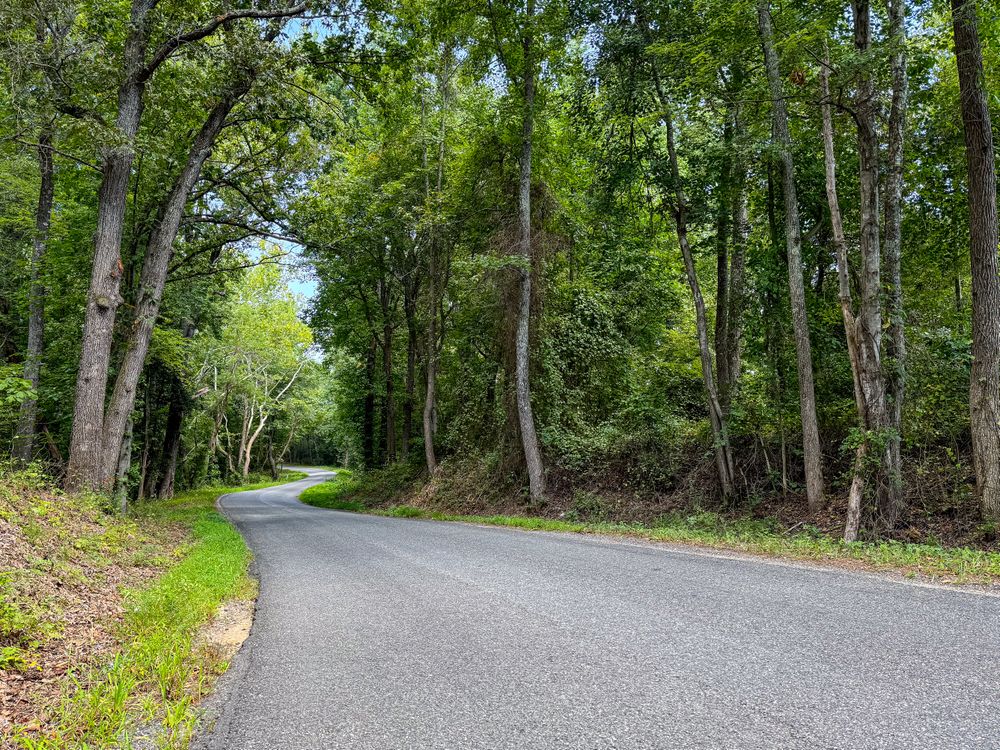 The bends of Salem Church Road, King George, VA