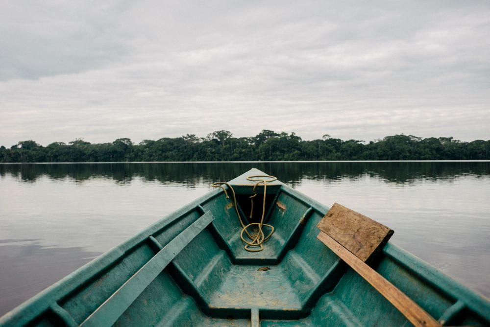 View of tree covered island from boat