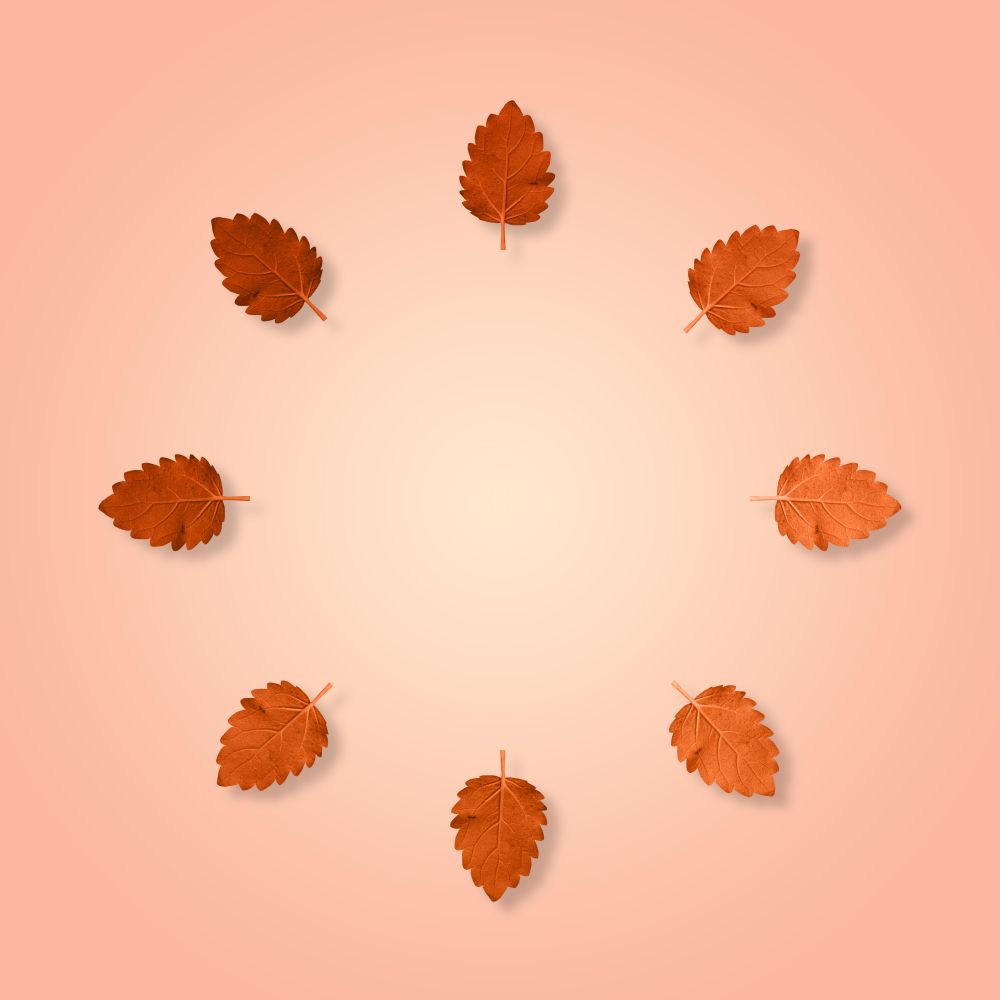 Flatlay of circle of amber leaves
