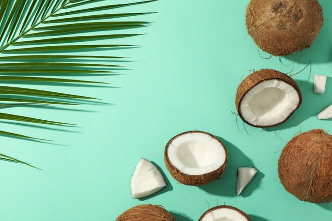 Flat lay with coconut and palm branch on mint background, top view