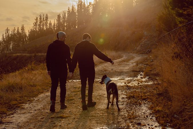 Men holding hands and walking with dog on road