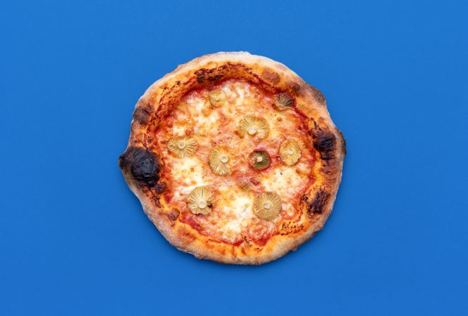 Vegetarian pizza with wild mushrooms isolated on a blue background
