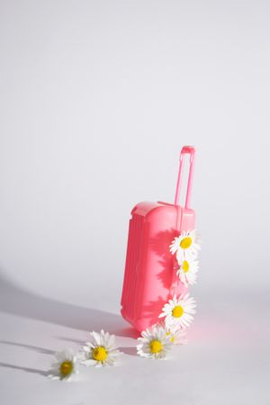 Cute toy of a pink suit case with daisies and shadows