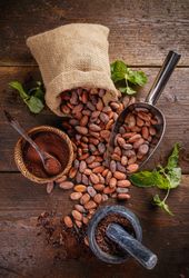 Top view of cocoa beans